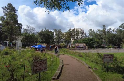 Burnham Park; The go.